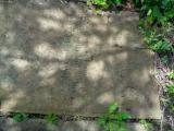 image of grave number 810572